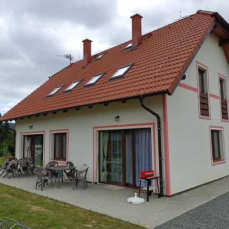 Apartmany U Olsinske Kaplicky Horní Planá Buitenkant foto