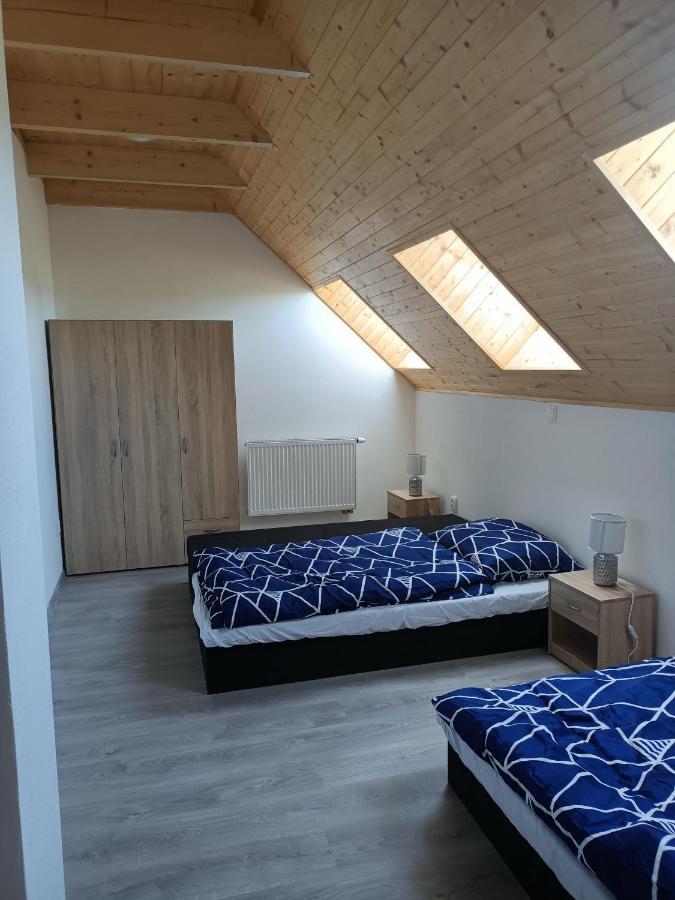 Apartmany U Olsinske Kaplicky Horní Planá Buitenkant foto