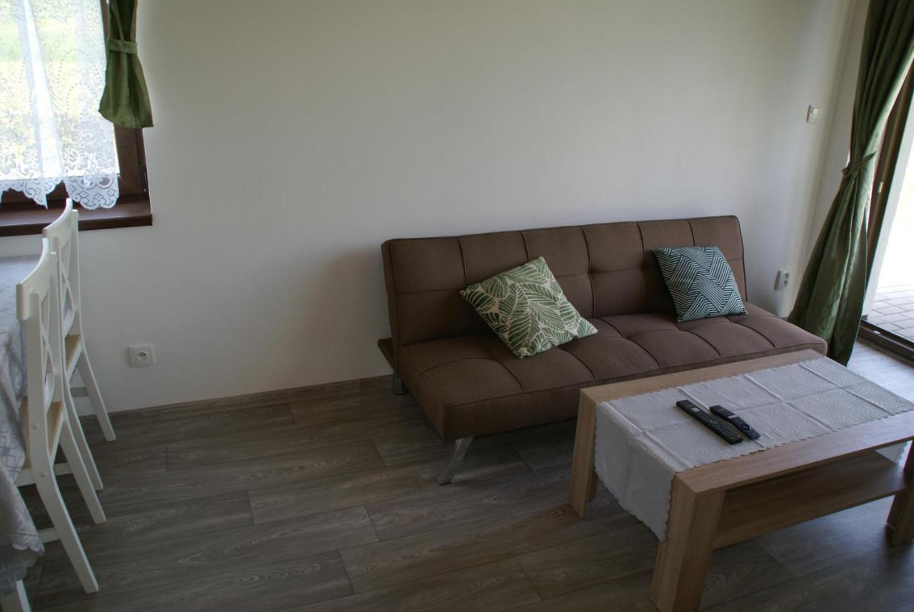 Apartmany U Olsinske Kaplicky Horní Planá Buitenkant foto
