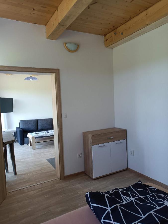 Apartmany U Olsinske Kaplicky Horní Planá Buitenkant foto
