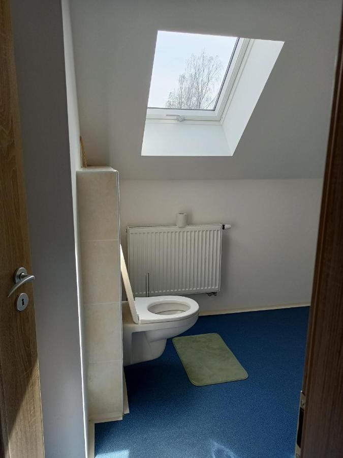 Apartmany U Olsinske Kaplicky Horní Planá Buitenkant foto
