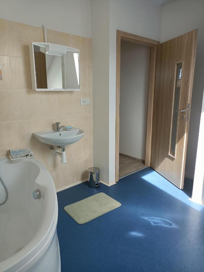 Apartmany U Olsinske Kaplicky Horní Planá Buitenkant foto