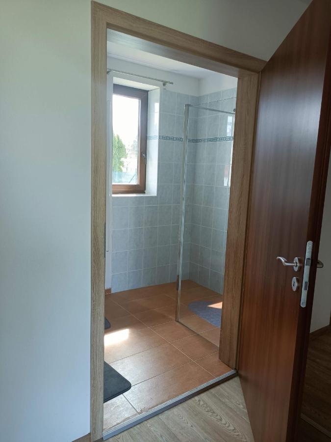 Apartmany U Olsinske Kaplicky Horní Planá Buitenkant foto