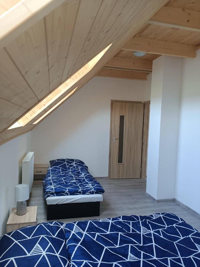 Apartmany U Olsinske Kaplicky Horní Planá Buitenkant foto