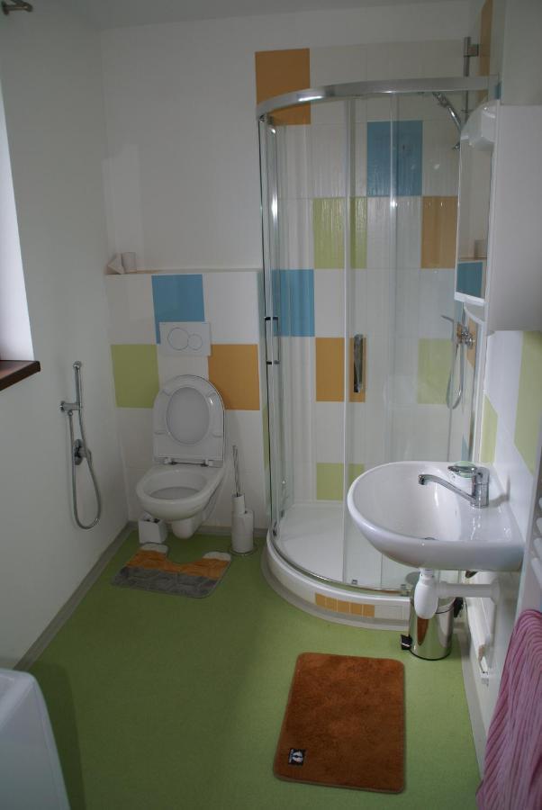 Apartmany U Olsinske Kaplicky Horní Planá Buitenkant foto